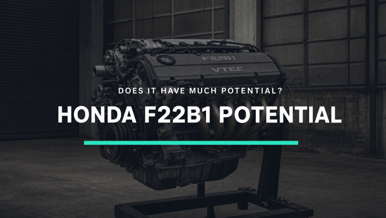 Does The F22B1 Have Much Potential?