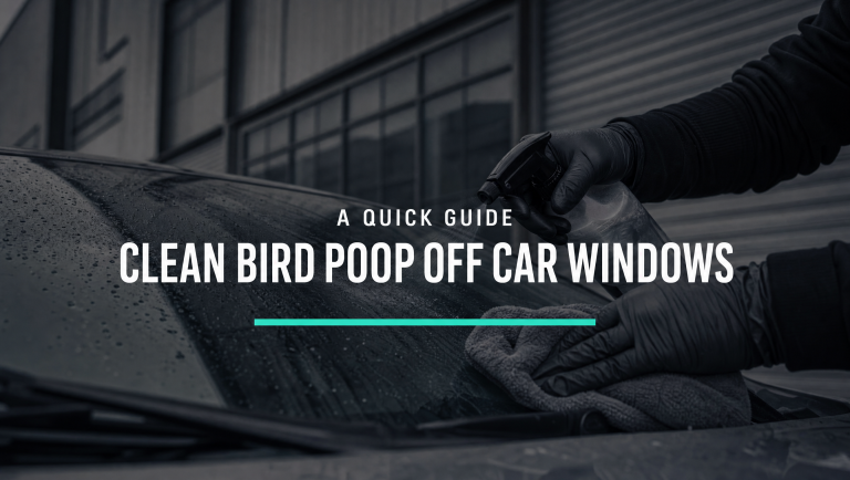 How to Clean Bird Poop Off Car Window: A Quick Guide
